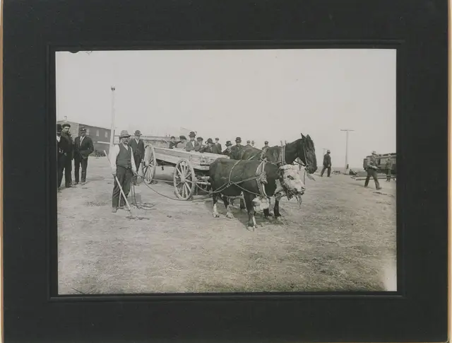 An odd team of a horse and an ox pulling a wagon